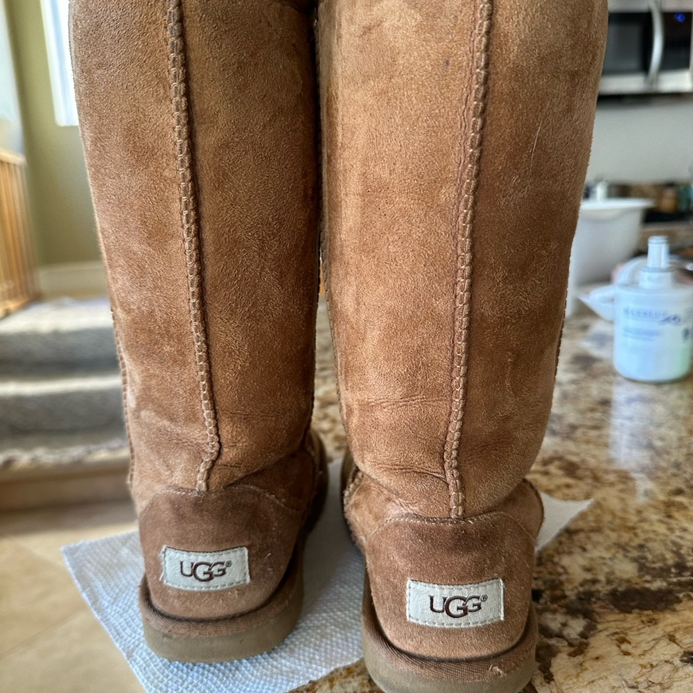 Classic II Tall Boot